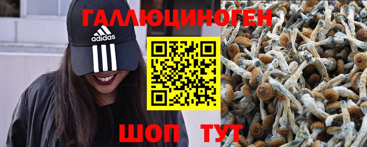 Галлюциногенные грибы мицелий Лениногорск